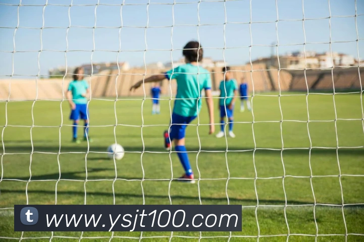 买球官方平台生态图